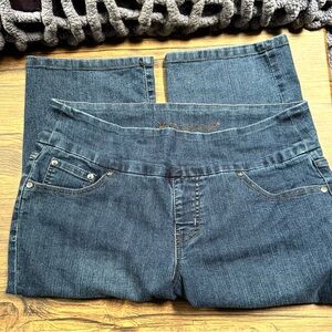 Jag Jeans Blue Jeggings with Elastic Waistband